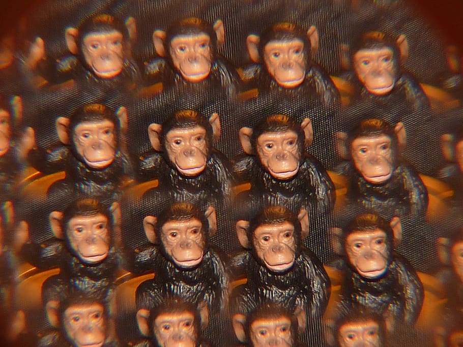mico, calidoscopi, art, a l'interior, mirant la càmera, retrat, adult jove, grup de persones, vista frontal, gent, creativitat, compost digital, representació humana, cintura cap amunt, representació, marc complet, de peu, adolescent, en fila, felicitat, fons, cultura i entreteniment artístic, rostre humà, 4K