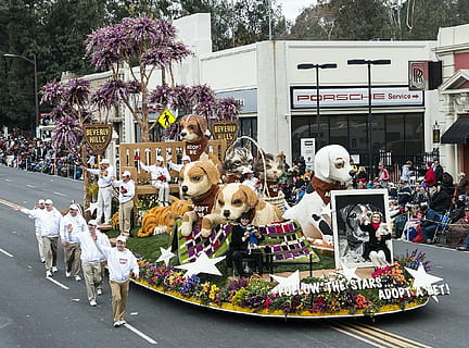 parata, galleggiante, cani, floreale, parata di rose, strada, colorato, fiore, folle, evento, Pasadena, Beverly Hills, California, Stati Uniti d'America, giorno, all'aperto, grande gruppo di persone, animali domestici, temi animali, persone, mammifero, animale, pianta, domestico, gruppo di persone, albero, città, folla, architettura, persone reali, mezzi di trasporto, natura, celebrazione, esterno dell'edificio, 1080P, CC0, dominio pubblico, privo di copyright