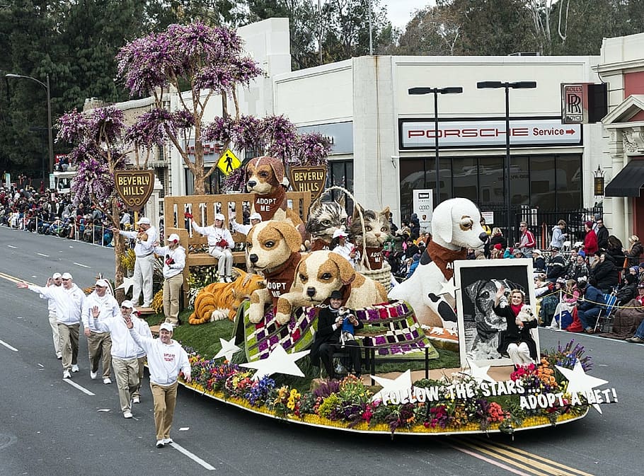 desfilada, flotar, gossos, floral, desfilada de roses, carrer, colorit, flor, multituds, esdeveniment, pasadena, Beverly Hills, Califòrnia, EUA, dia, a l'aire lliure, gran grup de persones, animals domèstics, temes d'animals, gent, mamífer, animal, planta, nacional, grup de persones, arbre, ciutat, multitud, arquitectura, mascotes, persones reals, transport, naturalesa, celebració, exterior de l'edifici, 1080P