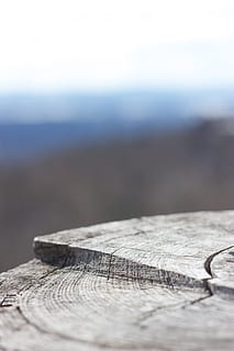 stamme, gammel, visnet, nærbilde, fokus, uskarp, bakgrunn, detalj, tre, materiale, årlig, vekst, ringer, sprekker, naturlig, tekstur, mønster, selektiv fokusering, tre - materiale, ingen folk, dag, natur, utendørs, bord, enkelt objekt, himmel, fokusere på forgrunnen, strukturert, hav, stilleben, land, sirkel, Strand, vann, ro, geometrisk form, overflatenivå, 5K, CC0, offentlig domene, opphavsrett gratis