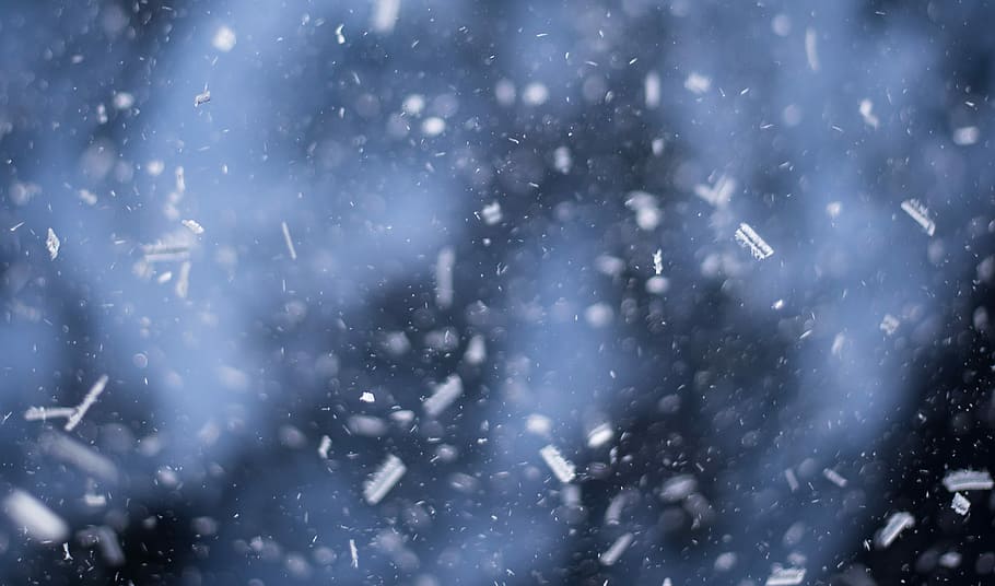 hvid, partikler, tæt på, fotografering, nærbillede fotografering, snefnug, aske, røg, is, sne, sner, kold temperatur, vinter, storm, snestorm, ekstremt vejr, natur, Frosset, ingen mennesker, miljø, baggrunde, udendørs, dag, faldende, hvid farve, scenics - natur, klima, fyrretræ, 4K