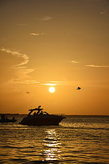 sol, båt, Strand, landskap, vann, natur, Litoral, himmel, blå, horisont, aftenen, ferien, ettermiddag, forente stater, passbåt, måke, fugl, solnedgang, slutten av ettermiddagen, mar, fugler, skyer, ro, tropiske fugler, hav, Orla, saltvann, nautisk fartøy, vannkanten, transport, skjønnhet i naturen, naturskjønnhet - natur, transportmiddel, oransje farge, silhouette, rolig scene, idylliske, sky - himmel, utendørs, horisont over vann, 5K, CC0, offentlig domene, opphavsrett gratis