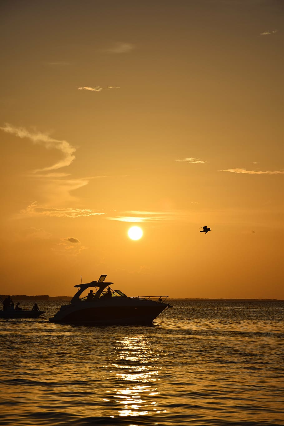 sol, båt, Strand, landskap, vann, natur, Litoral, himmel, blå, horisont, aftenen, ferien, ettermiddag, forente stater, passbåt, måke, fugl, solnedgang, slutten av ettermiddagen, mar, fugler, skyer, ro, tropiske fugler, hav, Orla, saltvann, nautisk fartøy, vannkanten, transport, skjønnhet i naturen, naturskjønnhet - natur, transportmiddel, oransje farge, silhouette, rolig scene, idylliske, sky - himmel, utendørs, horisont over vann, 5K