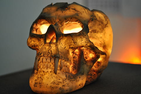 skull and crossbones, candle, windlight, skull, skeleton, close-up, human skeleton, no people, indoors, bone, representation, human representation, single object, studio shot, orange color, body part, spooky, creativity, focus on foreground, fossil, anatomy, black background, 4K, CC0, public domain, royalty free