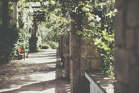 marró, banc, al costat, verd, planta de fulla, arbres, casa, llum solar, ombra, paret, passarel·la, jardí, parc, maçoneria, jardí Botànic, fullatge, fulles, full, fosc, barcelona, espanya, Parc Central, castell, flor, planta, arbre, naturalesa, dia, sendera, a l'aire lliure, creixement, cap gent, arquitectura, estructura construïda, enfocament selectiu, material de fusta, direcció, parc - l'home va fer espai, bellesa a la natura, ciutat, tranquil·litat, color verd, 5K, CC0, domini públic, lliure de regalies