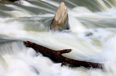 rzeka, woda, szybko, pływ, biały, woda, szybki, jedno zwierzę, żadnych ludzi, ryba, tematy zwierzęce, Natura, ruch, wodospad, scenics - natura, piękno natury, długa ekspozycja, skała, solidny, Płynąca woda, rock - obiekt, na dworze, środowisko, niewyraźny ruch, zwierzęca przyroda, płynący, strumień - płynąca woda, 2K, CC0, domena publiczna, darmowe zdjęcia