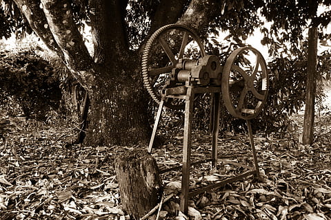 enginy, lloc, granja, chacara, pagès, camp, planta, cap gent, equipament, arbre, terra, dia, metall, maquinària, naturalesa, roda, vell, tecnologia, a l'aire lliure, vàlvula, indústria, bosc, creixement, rovellat, part de la planta, vàlvula de màquina, aigua que flueix, 5K, CC0, domini públic, lliure de regalies