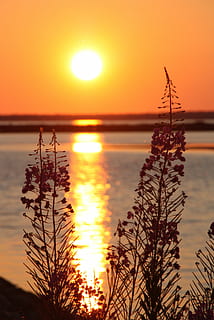 primavera, posta de sol, paisatge, sol, cel taronja, naturalesa, reflexió, tarda, cel, aigua, bellesa a la natura, color taronja, planta, escenics - natura, escena tranquil·la, tranquil·litat, silueta, llum solar, mar, cap gent, idíl·lic, escena no urbana, centrar-se en primer pla, a l'aire lliure, horitzó sobre l’aigua, brillant, cel romàntic, 4K, CC0, domini públic, lliure de regalies