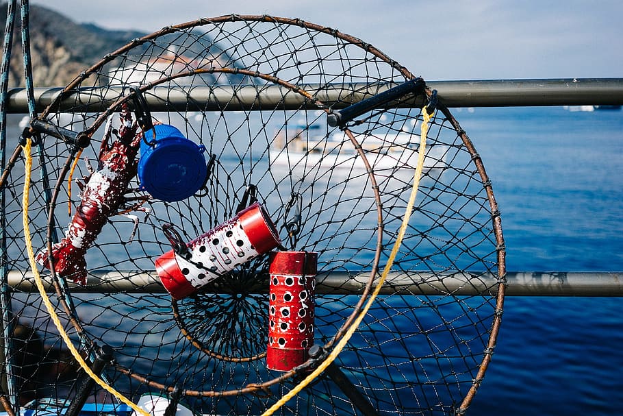 fiskeri, net, fangst, hav, ocean, udstyr, fishnet, vand, gear, materiale, marine, netting, båd, ingen mennesker, metal, dag, fiskeindustrien, udendørs, bøje, reb, transportmidler, sport, natur, fiskenet, blå, tæt på, himmel, sikkerhed, beskyttelse, fiskebåd, 1080P