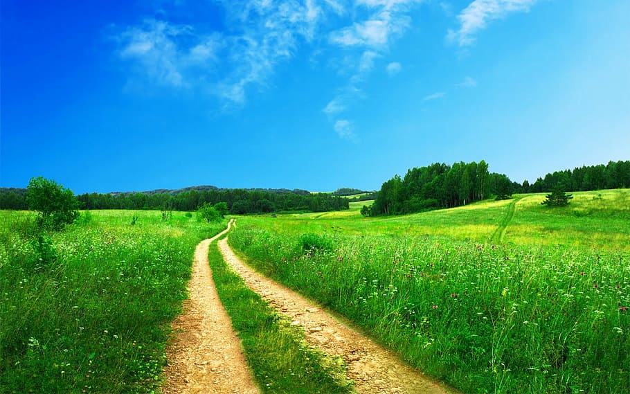 grøn, blade, græs, dagtimerne, sti, pathway, landdistrikterne, vej, natur, himmel, gangbro, landskab, bestemmelsessted, landskabet, træer, Mark, Land, levende, landlige scene, sommer, eng, udendørs, blå, landbrug, grøn farve, træ, bakke, jord, gård, forår, ikke-urbane scene, plante, scenics - natur, miljø, skønhed i naturen, rolig scene, ro, ingen mennesker, vejen frem, faldende perspektiv, 2K