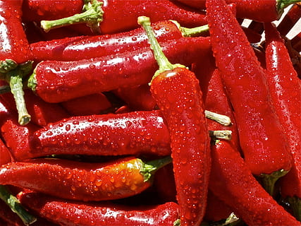 banyak, merah, cabai, cabe merah, buah, lada, sayur-mayur, Sayuran, alam, makanan dan minuman, kesegaran, tidak ada orang, makanan, sekelompok besar objek, bingkai penuh, latar belakang, masih hidup, merapatkan, makan sehat, kesejahteraan, membumbui, dalam ruangan, kelimpahan, cabai merah, hari, 4K, CC0, domain publik, bebas royalti