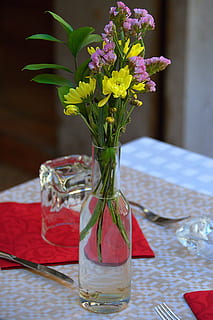 restauracja, ustawienie miejsca, porcja, jedzenie, pić wzmacniacz żywności, posiłek, zaproszenia na prysznic, centerpieces, nastrój, kwiat, roślina kwitnąca, wazon, roślina, stół, świeżość, Natura, kompozycja kwiatowa, szkło - materiał, wewnątrz, żadnych ludzi, szkło, głowa kwiatu, piękno natury, kruchość, dekoracja, obrus, wrażliwość, układ, czerwony, bukiet, oprawa, bukiet kwiatów, 2K, CC0, domena publiczna, darmowe zdjęcia