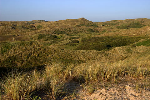 dunes, paisatge, Cornwall, naturalesa, a l'aire lliure, turó, planta, escenics - natura, medi ambient, cel, tranquil·litat, bellesa a la natura, herba, escena tranquil·la, cap gent, terra, muntanya, cel clar, escena no urbana, dia, remot, aigua, semiàrid, clima àrid, 5K, CC0, domini públic, lliure de regalies