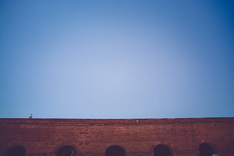brown concrete wall, brown, field, clear, blue, sky, bridge, bricks, architecture, built structure, building exterior, clear sky, outdoors, day, travel destinations, no people, copy space, nature, low angle view, silhouette, horizon, group of animals, standing, environment, 5K, CC0, public domain, royalty free