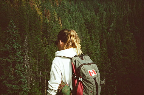 bosque interminable, mujer, vistiendo, gris, rojo, mochila, bolso, bosque, explorar, rubio, persona, rubia, árbol, caminata, atrás, niña, joven, Canadá, vista trasera, una persona, estilos de vida, gente real, actividad de ocio, planta, naturaleza, en pie, día, tierra, ropa casual, Pelo castaño, crecimiento, peinado, adulto, al aire libre, 1080P, CC0, dominio público, libre de derechos