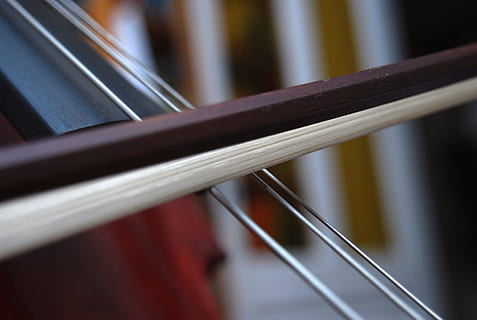 cello, strings, classical music, bow, close-up, selective focus, no people, indoors, railing, studio shot, focus on foreground, tranquility, musical instrument, order, arts culture and entertainment, string instrument, extreme close-up, wood - material, music, 2K, CC0, public domain, royalty free