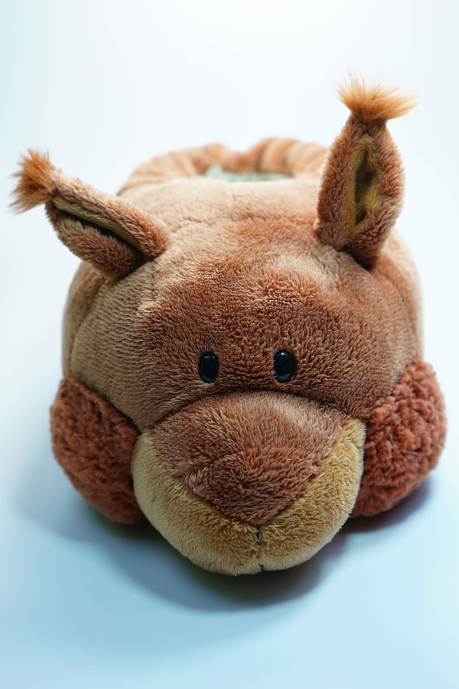 sabatilles, càlid, fàcilment, excepcional, esponjós, joguina de peluix, osset de peluix, joguina, infància, primer pla, cap gent, tir de l'estudi, a l'interior, representació animal, representació, natura morta, marró, mamífer, fons blanc, art i artesania, suavitat, sol objecte, creativitat, animal de joguina, tallar, 5K