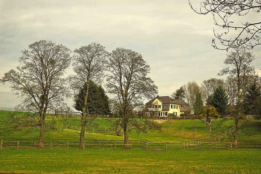 paisatge, idil·li, descans, prat, seefeld, perspectiva, naturalesa, bonic, casa, vila, en viu, treballar, relaxació, porta, arbres, cel, tanca, herba, escènic, reserva natural, rural, arbre, planta, arquitectura, estructura construïda, exterior de l'edifici, edifici, cap gent, núvol - cel, barri residencial, arbre nu, terra, camp, creixement, dia, a l'aire lliure, 4K