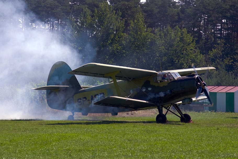 avions, començar, pis dúplex, hèlix, treure, vehicle aeri, manera de transport, avió, planta, herba, transport, naturalesa, moviment, terra, dia, cap gent, arbre, camp, militar, volant, color verd, a l'aire lliure, en moviment, aeroport, indústria aeroespacial, 2K