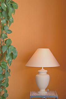 Lampe, Platz, Konfiguration, Zimmer, Feinkost, inneneinrichtung, Orange, elektrische Lampe, beleuchtet, Lichtanlage, Lampenschirm, drinnen, keine Leute, Wandbau - Funktion, Nahansicht, Wohngebäude, Pflanze, Elektrizität, gebaute Struktur, Dekoration, Licht, Haus, die Architektur, Blatt, Wand, Wohnraum, Pflanzenteil, aufwendig, 4K, CC0, gemeinfrei, lizenzfrei