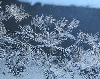 escarcha, ventana, invierno, cristal, hielo, glacial, vacaciones, ze, azul, macro, diseño, nieve, modelo, Navidad, gusto, temperatura, fractal, vaso, gris, blues, delicado, naturaleza, puro, temperatura fría, congelado, copo de nieve, nadie, belleza en la naturaleza, día, tranquilidad, de cerca, cristal de hielo, planta, al aire libre, antecedentes, el color blanco, tormenta de nieve, 2K, CC0, dominio público, libre de derechos
