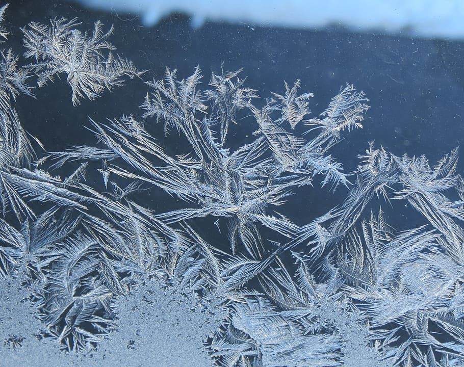 gelades, finestra, hivern, cristall, gel, gelada, festa, ze, blau, macro, disseny, neu, patró, Nadal, zing, temperatura, fractal, vidre, gris, blues, delicada, naturalesa, pur, temperatura de fred, congelat, floc de neu, cap gent, bellesa a la natura, dia, tranquil·litat, primer pla, cristall de gel, planta, a l'aire lliure, fons, Color blanc, vent de neu, 2K