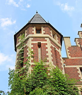 edificio, torre, cielo, nubes, arquitectura, edificio viejo, descuidado, zoohaus, casa en el zoológico, estructura construida, exterior del edificio, vista de ángulo bajo, naturaleza, nube - cielo, planta, nadie, día, árbol, al aire libre, crecimiento, ladrillo, hiedra, altura maxima, historia, color verde, 4K, CC0, dominio público, libre de derechos