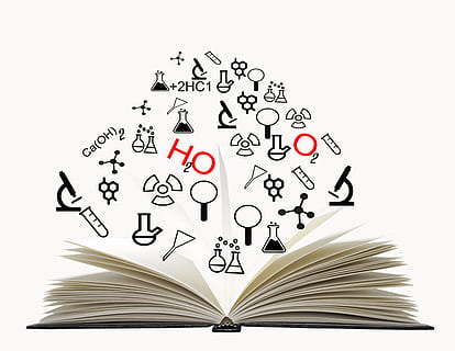 white hardbound book, book, vector, library, study, school, literature, design, icon, textbook, paper, knowledge, read, flat, symbol, cover, learning, stack, sign, page, information, collection, education, reading, bookstore, studying, university, set, business, science, document, learn, text, publication, people, wisdom, intelligence, communication, activity, copy space, open, white color, white background, indoors, 8K, CC0, public domain, royalty free