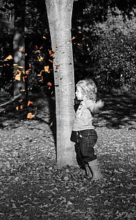 dreng, blad, efterår, baby dreng, barn, nuttet, udendørs, parkere, mennesker, spille, ung, blade, lykkelig, kaste, fuld længde, træ, barndom, en person, natur, afslappet tøj, plante, træstamme, bagagerum, Kvinder, hunner, rigtige mennesker, dag, fritidsaktivitet, stående, piger, bevægelse, uskyld, frisure, 2K, CC0, offentligt domæne, royaltyfrie