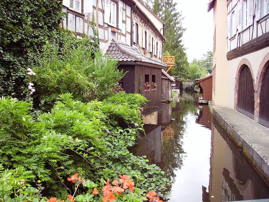 truss, riu, alsace, estructura construïda, arquitectura, exterior de l'edifici, planta, aigua, arbre, naturalesa, dia, edifici, reflexió, canal, cap gent, creixement, ciutat, pont, connexió, color verd, barri residencial, a l'aire lliure, pont d’arc, 2K
