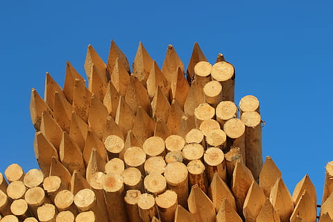 træ, træposter, stak, spidst, pind, hegn træ, hegn post, træ - materiale, stor gruppe af objekter, natur, tømmer, ingen mennesker, blå, himmel, overflod, skyfri himmel, udendørs, log, form, brændstof og elproduktion, skovrydning, tømmerindustrien, Skov, sollys, 5K, CC0, offentligt domæne, royaltyfrie