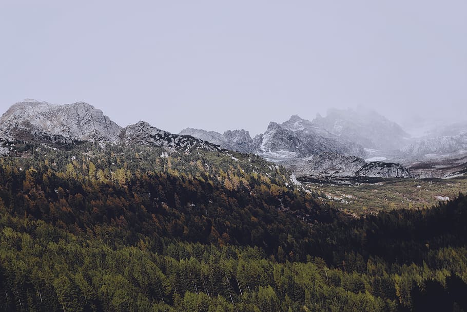 camp de gespa, muntanya, aèria, fotografia, vista d’arbre, boira, al matí, muntanyes, accidentat, arbres, bosc, tempesta, vent, tardor, escenics - natura, medi ambient, planta, bellesa a la natura, arbre, paisatge, temperatura de fred, cel, tranquil·litat, hivern, escena tranquil·la, neu, cap gent, terra, naturalesa, escena no urbana, creixement, Serra, a l'aire lliure, muntanya nevada, pi, arbre de coníferes, bosc de pi, 5K