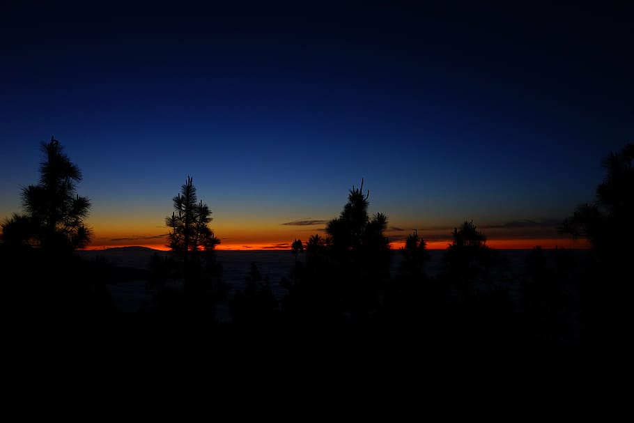 západ slunce, dosvit, nebe, mraky, selva námořní, ostrov, la palma, tenerife, Kanárské ostrovy, stromy, koruny stromů, silueta, Příroda, soumrak, krajina, strom, scenics - příroda, klidné scény, kopie prostor, klid, krása v přírodě, nikdo, temný, rostlina, modrý, venku, noc, oranžová barva, životní prostředí, svítí, 5K