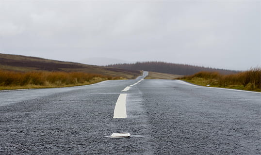 asfaltvej, omgivet, græs, lav, vinkel, Foto, asfalt, vej, fortov, overskyet, vejen frem, natur, scenics, landskab, rolig scene, ro, dag, udendørs, ingen mennesker, retning, vejmærkning, transportmidler, ikke-urbane scene, mærkning, himmel, symbol, skilt, tom vej, scenics - natur, miljø, snoet vej, faldende perspektiv, skillelinje, 2K, CC0, offentligt domæne, royaltyfrie