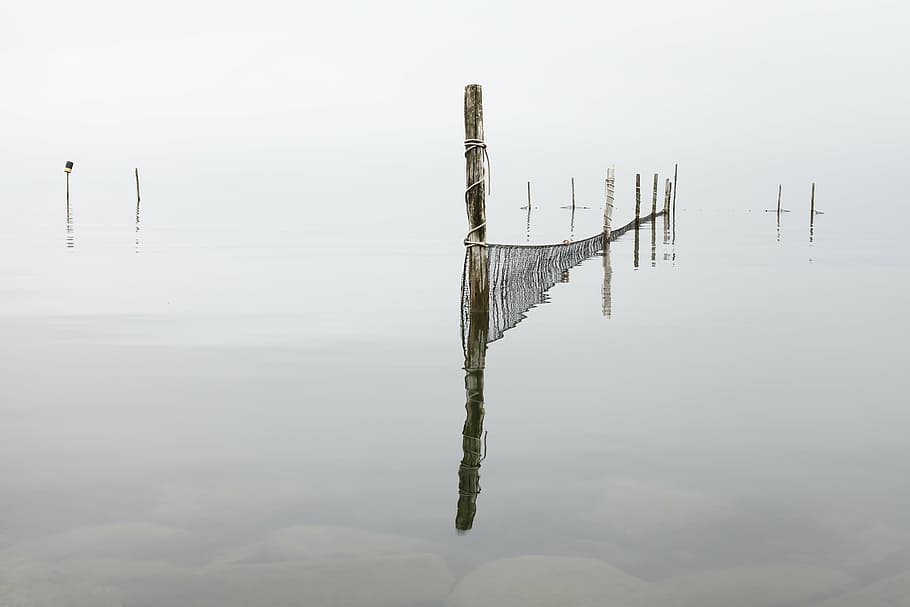 cerca, lago, red, reflexión, río, cuerdas, agua, bosque, frente al mar, naturaleza, material de madera, tranquilidad, belleza en la naturaleza, nadie, día, enviar, escena tranquila, poste de madera, cielo, al aire libre, paisajes - naturaleza, escena no urbana, niebla, 5K
