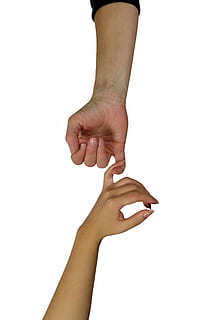 hænder, finger, kontakt, kærlighed, tillid, forbundethed, bud, ømhed, Gemme, redde, tilbageholdelse, kvinde, mand, kvindens hånd, mand hånd, menneskelig hånd, menneskelig kropsdel, hvid baggrund, hånd, studio skud, indendørs, en person, kropsdel, skåret ud, bedrift, menneskelig finger, kopiere plads, tæt på, Kvinder, hygiejne, uigenkendelig person, sundhedspleje og medicin, livsstil, 5K, CC0, offentligt domæne, royaltyfrie