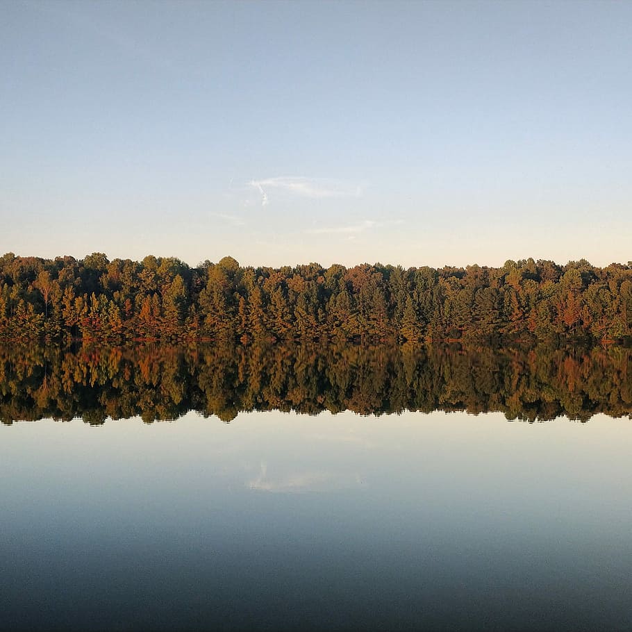 Foto, træer, legeme, vand, dagtimerne, spejlfotografering, blå, himmel, afspejling, natur, skov, sø, skønhed i naturen, ro, rolig scene, scenics - natur, plante, træ, ingen mennesker, vækst, ikke-urbane scene, efterår, dag, idyllisk, havnefronten, jord, lave om, udendørs, 2K