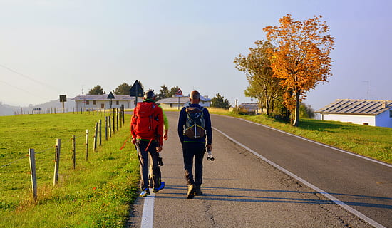 ekskursija, vaikščioti, kelias, ruduo, medžiai, kalnas, europos kelias, e5, Lessinia, Italija, visas ilgis, transportavimas, augalų, suaugusiųjų, judėjimas, vyrai, kelyje, pobūdį, žmonių, realūs žmonės, dangus, galinis vaizdas, gyvenimo būdą, Sportas, dieną, medis, žmonių grupė, lauke, 5K, CC0, Viešasis domenas, nemokamai