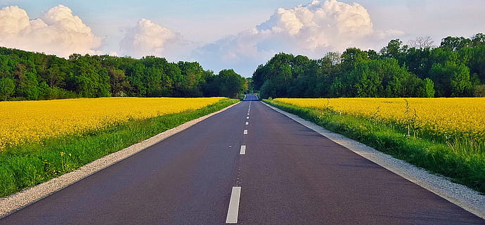 strada, stupro, nuvole, primavera, natura, scena rurale, agricoltura, giallo, colza, paesaggio, campo, estate, all'aperto, blu, azienda agricola, pianta, mezzi di trasporto, direzione, albero, la strada davanti, cielo, terra, prospettiva decrescente, erba, nessuno, ambiente, scenics - natura, segnaletica stradale, bellezza nella natura, nuvola - cielo, dritto, 2K, CC0, dominio pubblico, privo di copyright