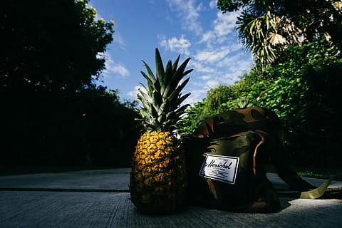 strada, natura, sentiero, viaggio, esercito, zaino, frutta, ananas, pianta, albero, nessuno, cibo, cibo e bevande, mangiare sano, giorno, all'aperto, crescita, benessere, frutta tropicale, cielo, Banana, luce del sole, freschezza, giallo, colore verde, 5K, CC0, dominio pubblico, privo di copyright