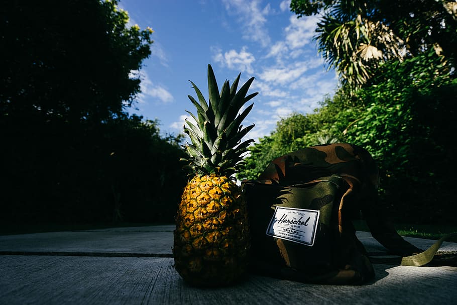 strada, natura, sentiero, viaggio, esercito, zaino, frutta, ananas, pianta, albero, nessuno, cibo, cibo e bevande, mangiare sano, giorno, all'aperto, crescita, benessere, frutta tropicale, cielo, Banana, luce del sole, freschezza, giallo, colore verde, 5K
