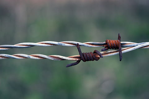 filo spinato, ruggine, arrugginito, filo, limite, contorto, tristezza, abbandono, Pericolo, proibito, interdetto, sbarrato, recinto, concentrarsi sulle conoscenze acquisite, avvicinamento, confine, sicurezza, barriera, metallo, protezione, nessuno, giorno, forza, natura, all'aperto, connessione, pianta, 5K, CC0, dominio pubblico, privo di copyright
