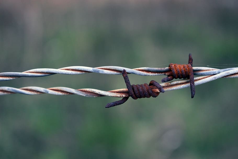 filferro espinós, òxid, rovellat, cable, lligat, retorçat, tristesa, abandonament, perill, prohibit, interdicte, barrat, tanca, centrar-se en primer pla, primer pla, límit, seguretat, barrera, metall, protecció, cap gent, dia, força, naturalesa, a l'aire lliure, connexió, planta, 5K