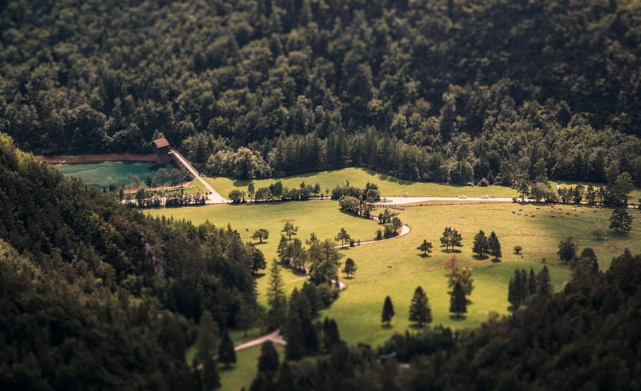 Grün, Wald, tagsüber, Antenne, Foto, Karosserie, Wasser, umgeben, Bäume, Baum, Feld, Straße, Tal, Landschaft, Reise, Tourismus, Haus, Bild, horizontal, Sommer-, Farbe, winzig, Pflanze, Szenen - Natur, Umgebung, Tag, grüne Farbe, Land, Natur, Schönheit in der Natur, ruhige Szene, die Architektur, keine Leute, gebaute Struktur, High Angle View, Wachstum, Gebäude, Ruhe, Gebäudehülle, draußen, 5K