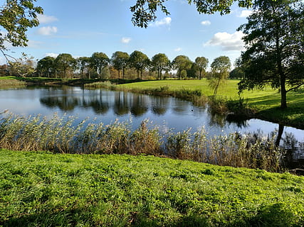 golf, odraz, stromy, krajina, řeka, rybník, Příroda, jezero, nebe, podzim, strom, modrý, voda, mraky, les, přírodní krajina, amsterdam, Holandsko, pěkný, pole, rostlina, klid, scenics - příroda, zelená barva, klidné scény, tráva, krása v přírodě, růst, nikdo, den, mimoměstské scény, přistát, mrak - nebe, venku, 4K, CC0, veřejná doména, bez autorských práv