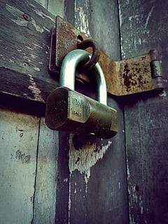 Padlock, Lock, Closed, Door, locked, closed, door, steel, security, old, protection, safety, rusty, metal, gate, wood - Material, close-up, entrance, no people, latch, day, hanging, weathered, outdoors, wood, safe, 4K, CC0, public domain, royalty free