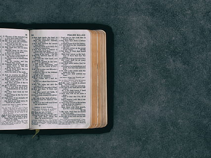 öppna, ficka, grön, yta, öppnade bibelboken, bibel, bok, kristendom, religion, andlighet, religiös text, utbildning, katolicism, bön-, litteratur, kommunikation, inomhus, dagbok, direkt ovanför, inget folk, offentliggörande, text, högvinkelvy, fortfarande liv, sida, närbild, tabell, papper, expertis, tro, lärobok, 4K, CC0, offentligt domän, royaltyfria