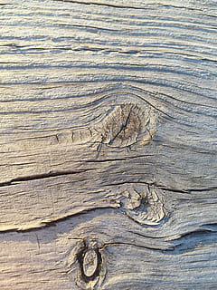 escorça, arbre, fons, fusta, gra, patró, textura, naturalesa, material de fusta, marc complet, primer pla, cap gent, aspre, dia, esquerdat, gra de fusta, tauler, a l'aire lliure, fusta nuada, patró natural, marró, tronc de l'arbre, 2K, CC0, domini públic, lliure de regalies
