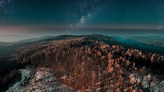 aéreo, foto, Castanho, arvores, fotografia de paisagem, folheado, floresta, neve, árvore, drone, noite, via Láctea, Estrela, inverno, céu noturno, feriado, cor, sobre, acima, estrela - espaço, espaço, astronomia, scenics - natureza, beleza na natureza, montanha, céu, galáxia, tranquilidade, cena tranquila, natureza, panorama, meio Ambiente, cadeia de montanhas, ninguém, plantar, ao ar livre, astrologia, espaço e astronomia, 4K, CC0, domínio público, royalty free