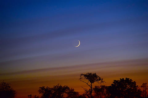 arvores, lua crescente, lua, céu, crescente, por do sol, colorida, noite, leve, natureza, Sombrio, luar, brilhante, panorama, silhueta, crepúsculo, azul, calmo, exterior, tarde, horizonte, laranja, verão, cênico, dramático, árvore, scenics - natureza, beleza na natureza, plantar, nuvem - céu, tranquilidade, ninguém, cena tranquila, visão de baixo ângulo, ao ar livre, espaço, meia-lua, 4K, CC0, domínio público, royalty free